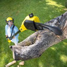 Best Aeration Services  in Elkhart, IN